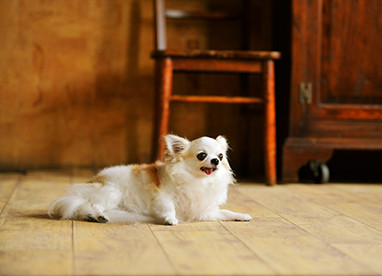 新着情報 - アスワン株式会社