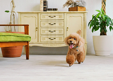 新着情報 - アスワン株式会社